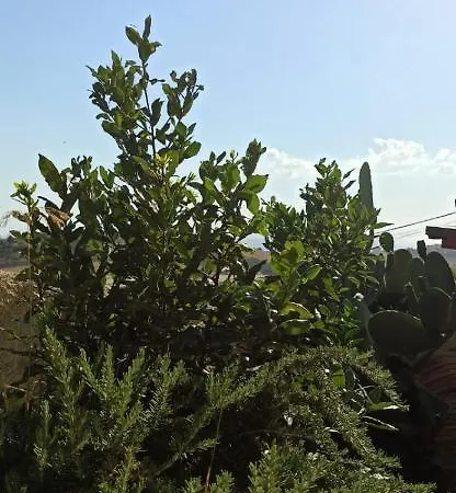 Casa vacanze La Scalia Siculiana